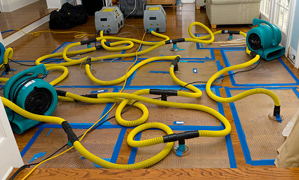 Professional Water Damage Restoration technician working in Olar, SC